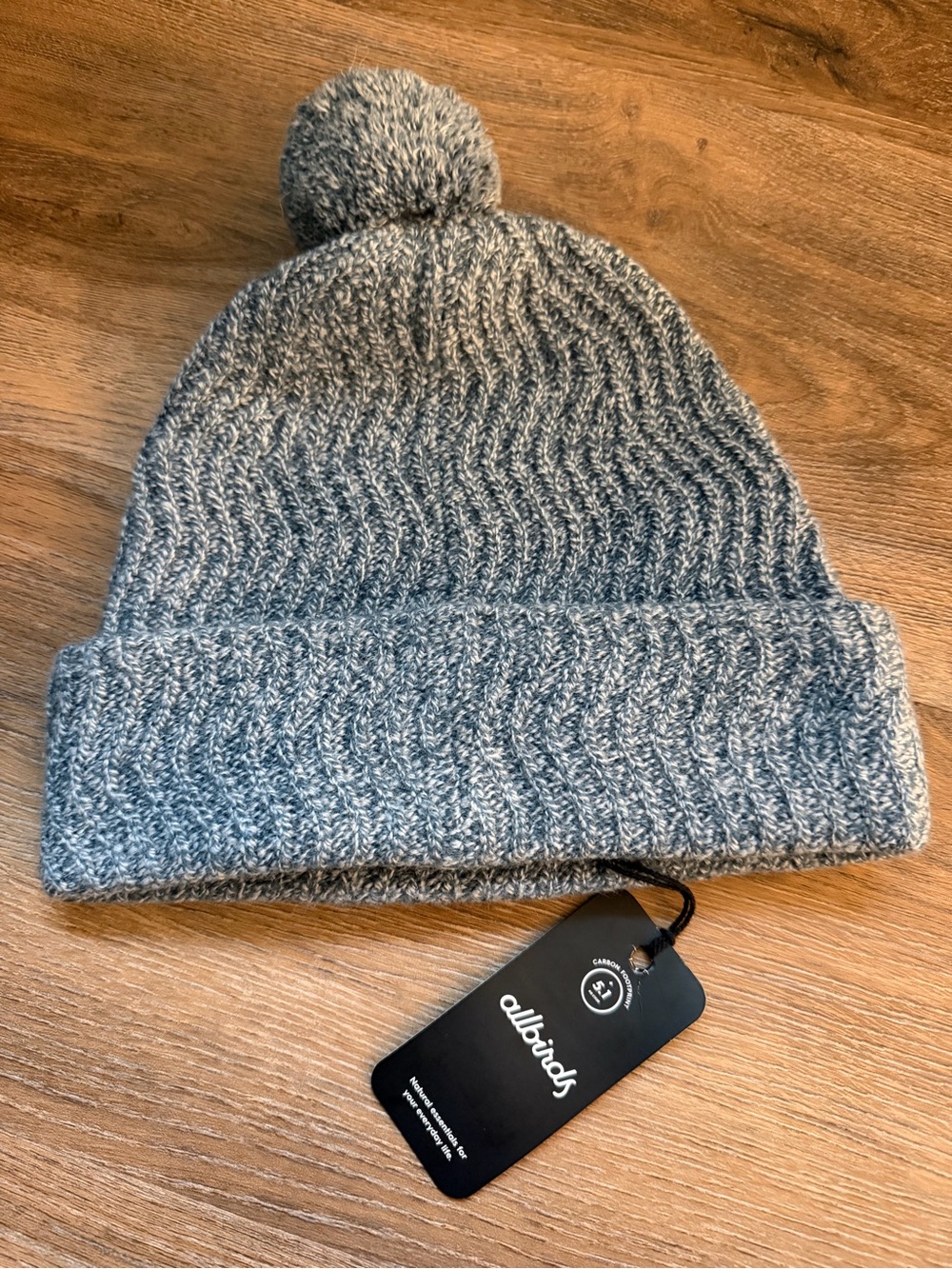 NWT Allbirds Merino Wool Pom Beanie